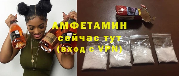 индика Зеленокумск