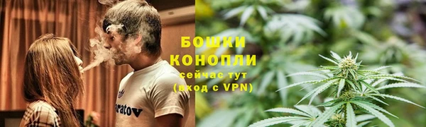 индика Зеленокумск
