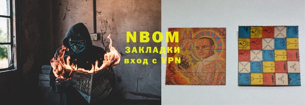 индика Зеленокумск