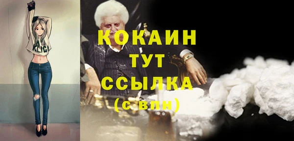 индика Зеленокумск