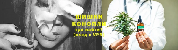 Альфа ПВП Ессентукская