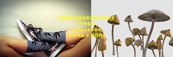 spice Зерноград