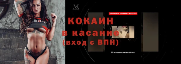 индика Зеленокумск