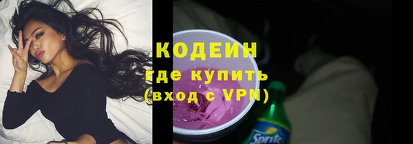 индика Зеленокумск