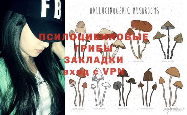 индика Зеленокумск