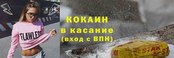 индика Зеленокумск