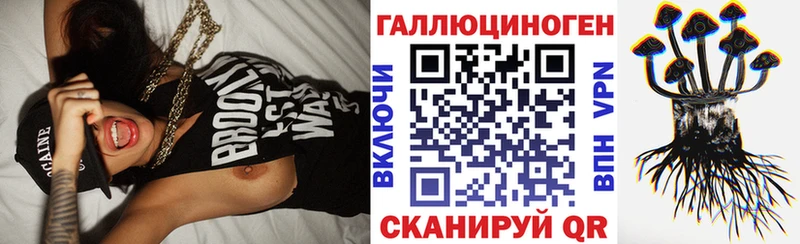 Купить  Льгов  Галлюциногенные грибы Cubensis 